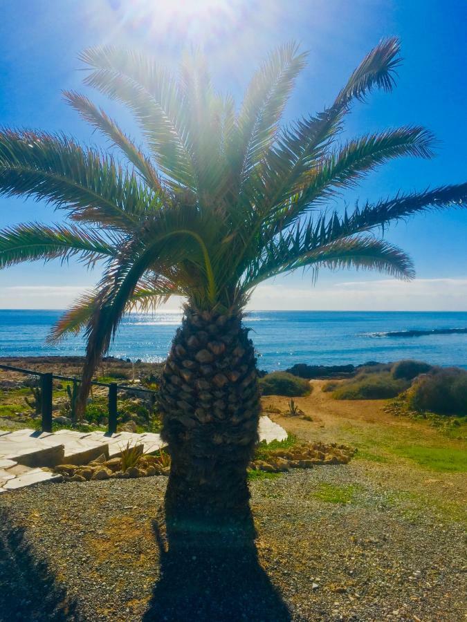Apartmán Nissi Elena A11 Ayia Napa Exteriér fotografie